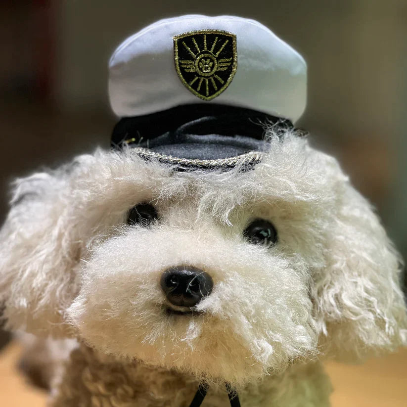 Momoji Air * Pilot * Cap