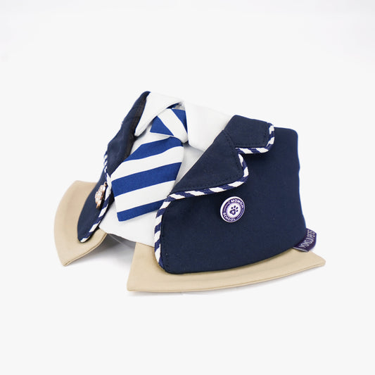 The Hairs Boy | Pet Bib