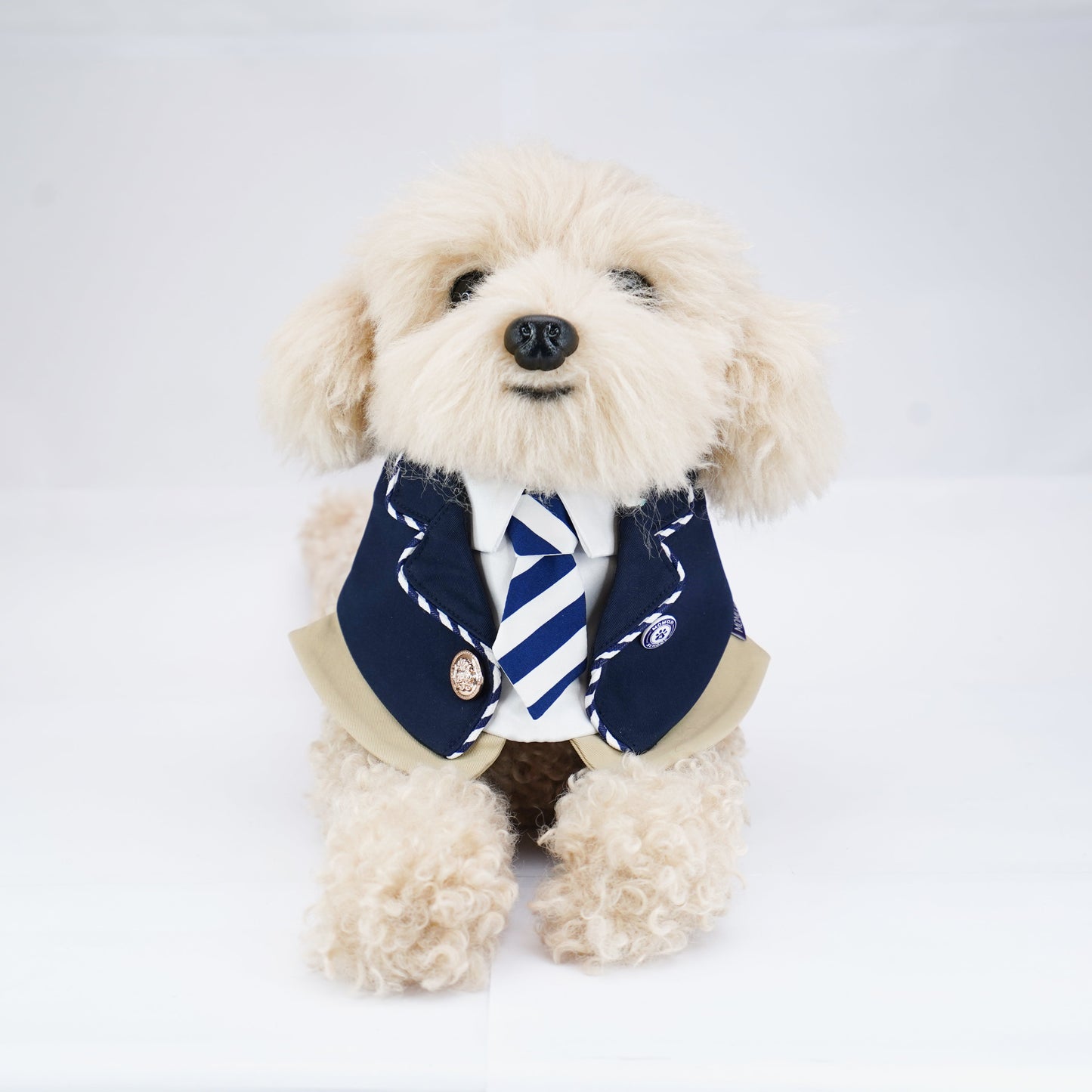 The Hairs Boy | Pet Bib