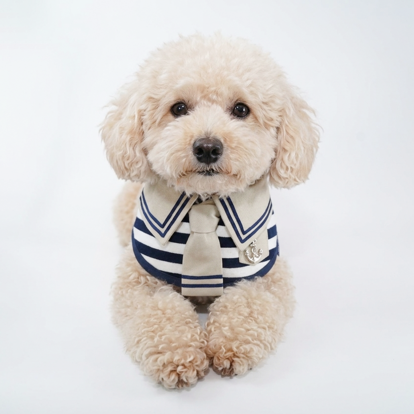 Santiano (2-Sandstone & Navy) | Pet Neckwear