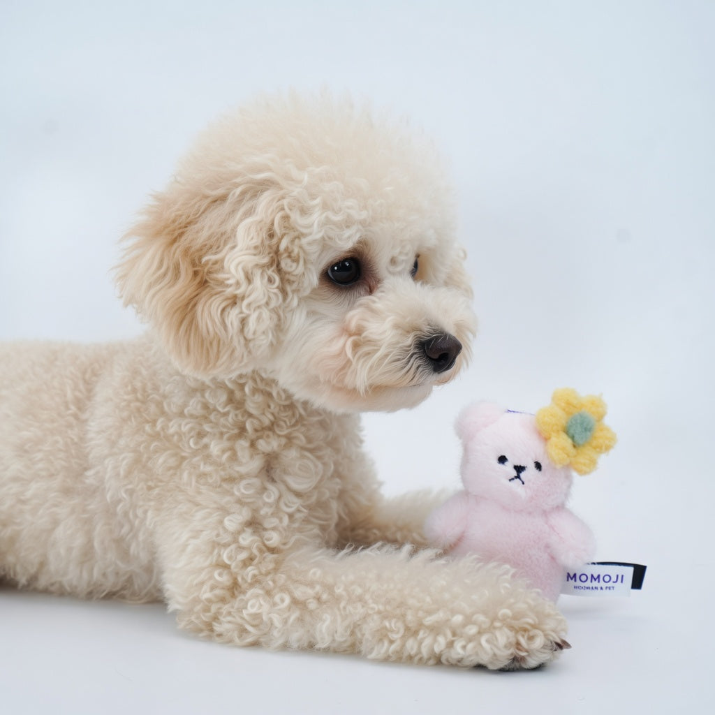 Momoji Bear Family (1-Pink Bear | Flower Princess) | Pet Plushie