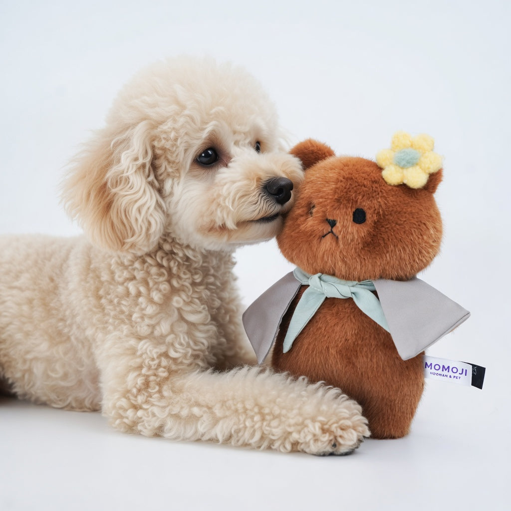 Momoji Bear Family (2-Brown Bear | Picnic Adventurer) | Pet Plushie