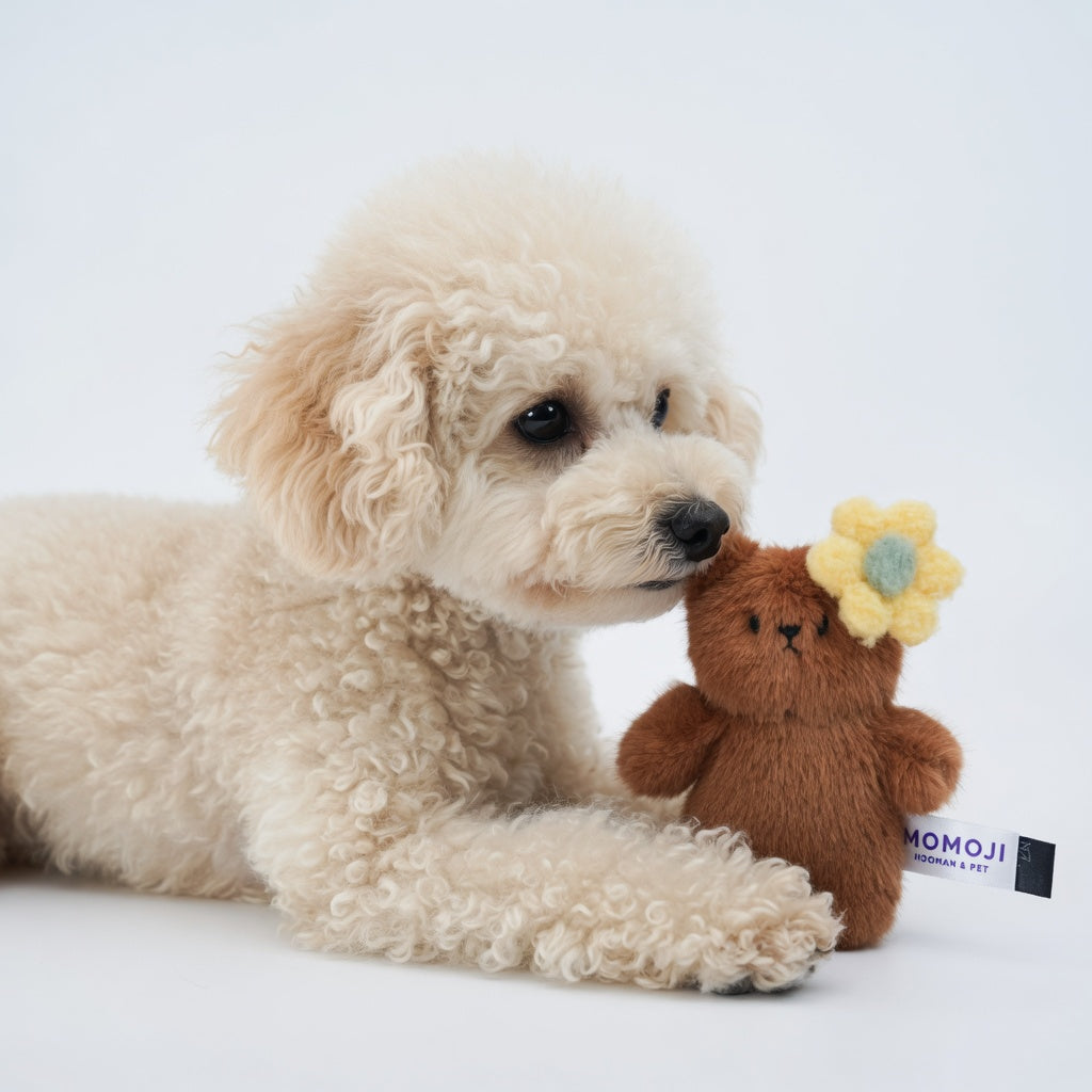 Momoji Bear Family (2-Brown Bear | Picnic Adventurer) | Pet Plushie