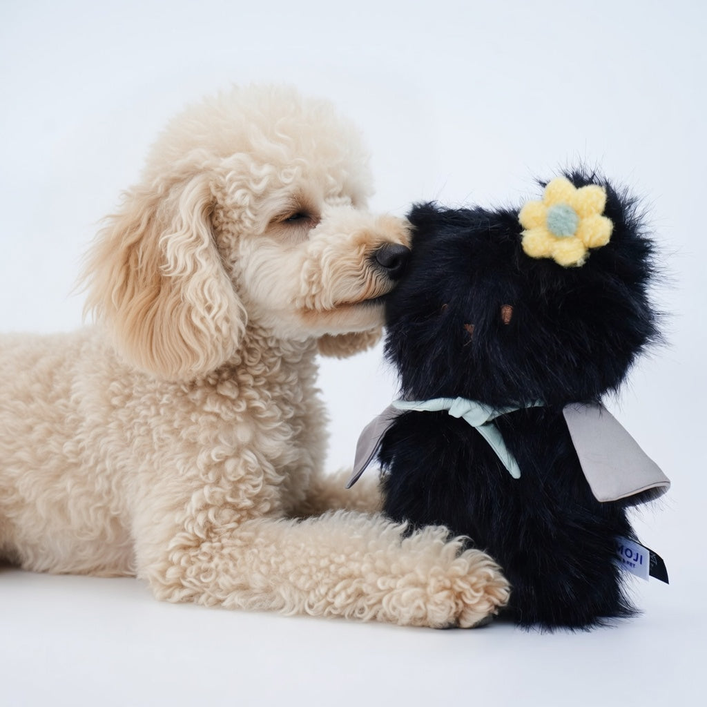Momoji Bear Family (3-Black Bear | Forest Friend) | Pet Plushie