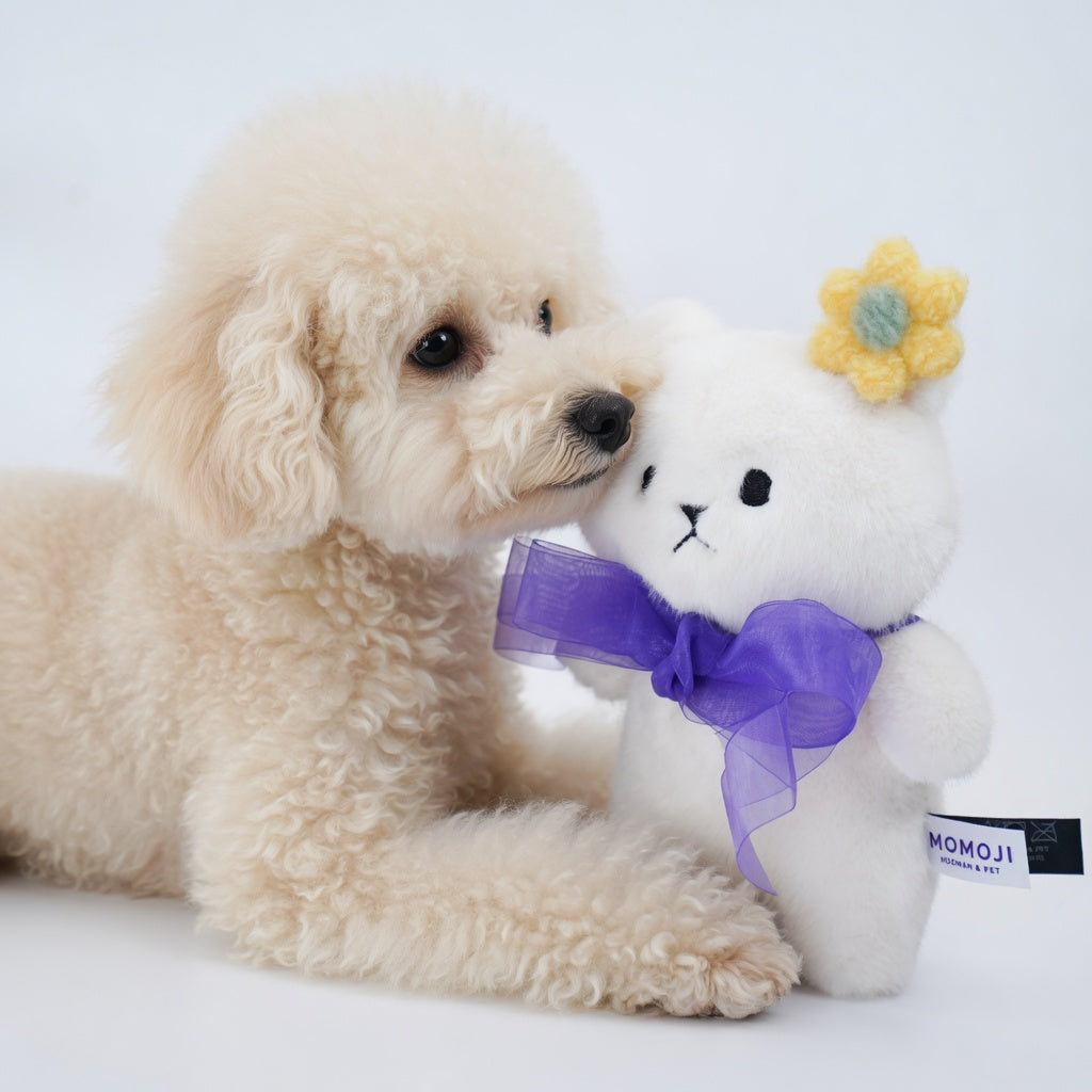 Momoji Bear Family (4-Creamy Bear | Dreamy Cloud) | Pet Plushie