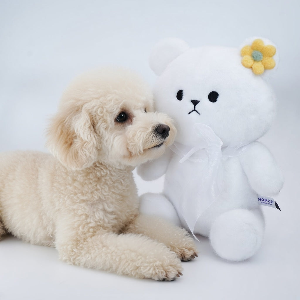 Momoji Bear Family (5-White Bear | Cloud Dreamer) | Pet Plushie
