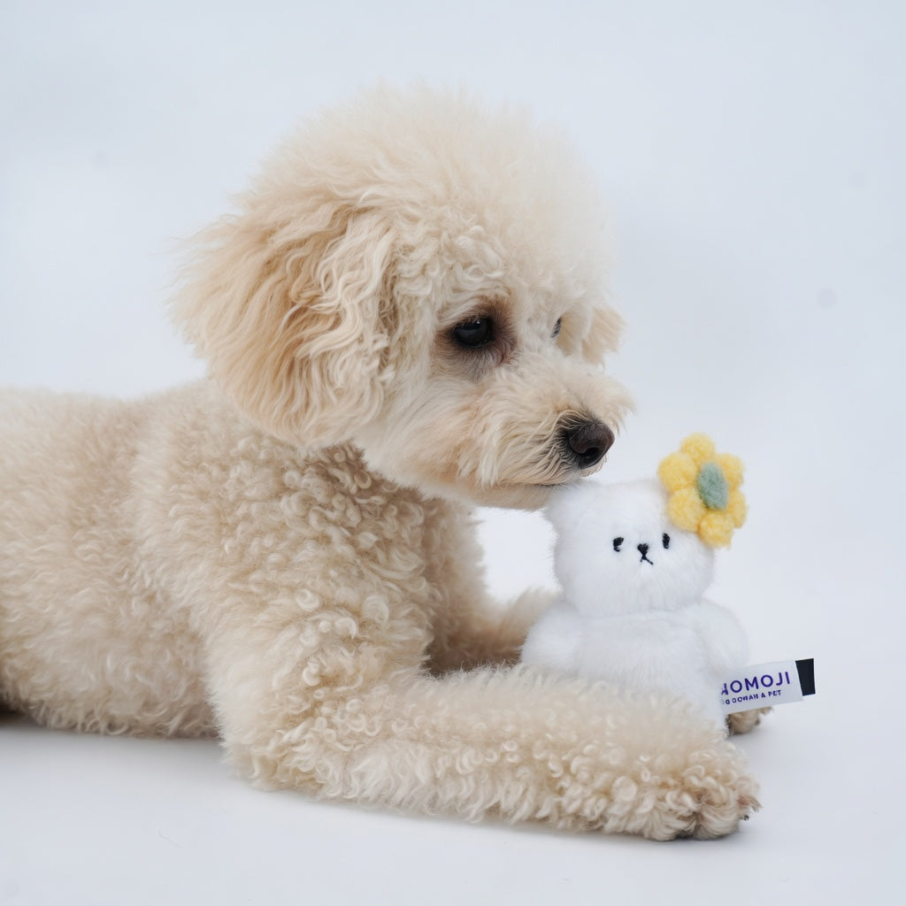 Momoji Bear Family (5-White Bear | Cloud Dreamer) | Pet Plushie